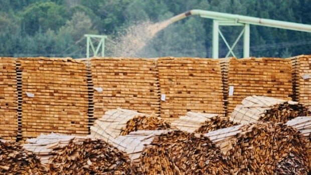 The J.D Irving Ltd. sawmill in Grande-Riviere outside Saint-Léonard is New Brunswick's largest. It is getting a one percent assessment increases in 2022, its first increase in seven years. Eight bundles of cut wood lying horizontally in front of six vertical stacks of cut wood