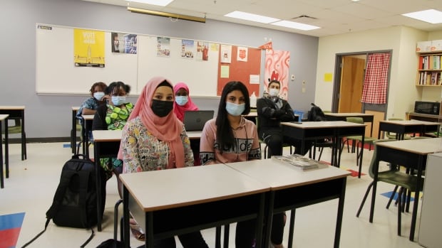 Schools in N.B. try new way to bring newcomer students into school life