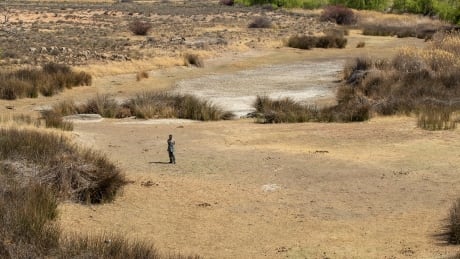 In this September 2021 file photo, a shepherd stands in the dry riverbed at Colesberg, South Africa. Researchers are warning that without detailed climate impact research, countries in Africa and around the global south may be left unprepared for climate change. UN Global Water Crisis