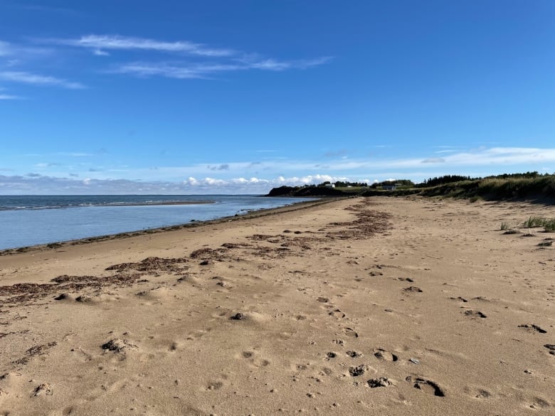 Murray Corner residents puzzled by sewage lagoon project in provincial