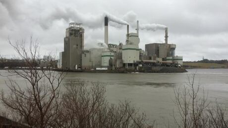 The city is exploring how to use waste heat from the Irving pulp mill to heat nearby homes and businesses. Irving pulp and paper mill, West Saint John
