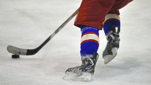 Hockey N.L. says it's implementing sexual violence prevention amid Hockey Canada scandal