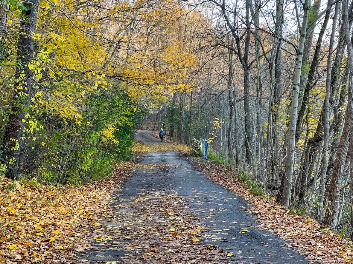 Park pathway
