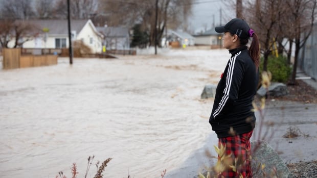 Mayor of Merritt says some residents could return home to flood-ravaged city in a matter of days