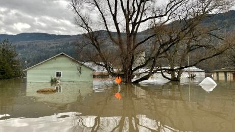 Flooding in Sumas Prairie, Abbotsford, B.C., where a dike that was surveyed in 2015 as inadequate by the government breached. BC Flooding