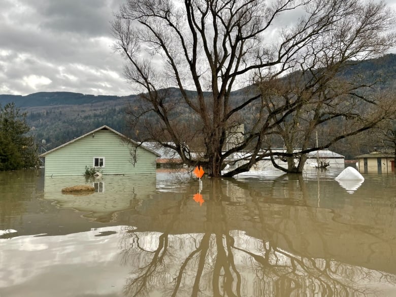 Bc Flooding