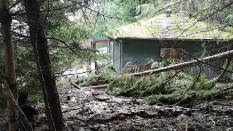 Tonda Heidtke's Saturna Island home is located at the base of a mudslide, covering his deck and stairs. Tonda Heidtke house Saturna Island