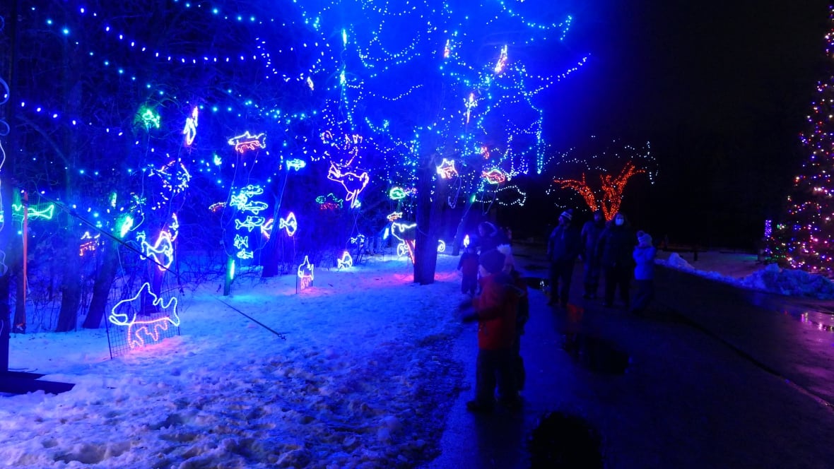 More than 1 million bright lights create festive vibe at Winnipeg's