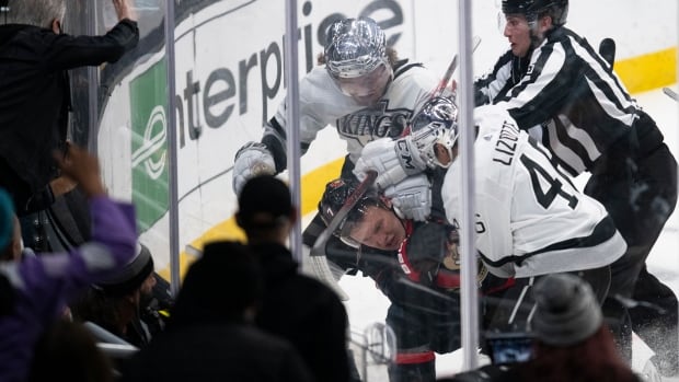 American Hockey League game in Toronto suspended due to fan's medical  emergency