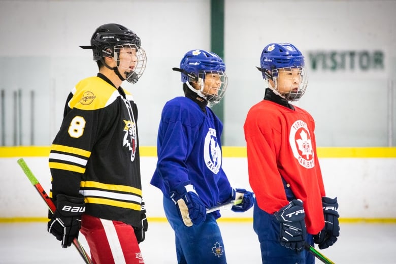 China's hockey team is stacked with Canadians, but could be pulled from  Olympics