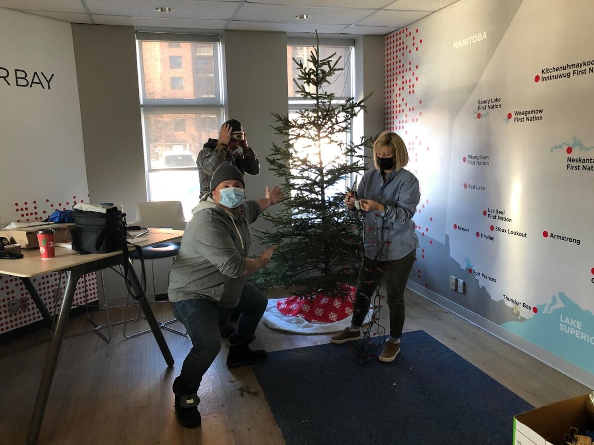 On the hunt for CBC Thunder Bay's Christmas tree CBC News