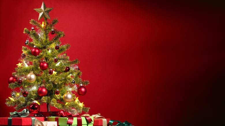 City Of Garland Tradh Pickup Christmas 2022 Here's What That City Of London Says You Can Do With Your Old Christmas  Tree | Cbc News