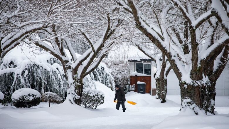 Get prepared for winter weather and storms - Province of British Columbia