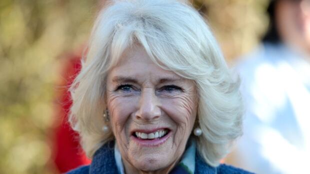 Will Camilla be called Queen when Charles becomes King? New honour for Duchess of Cornwall sparks curiosity