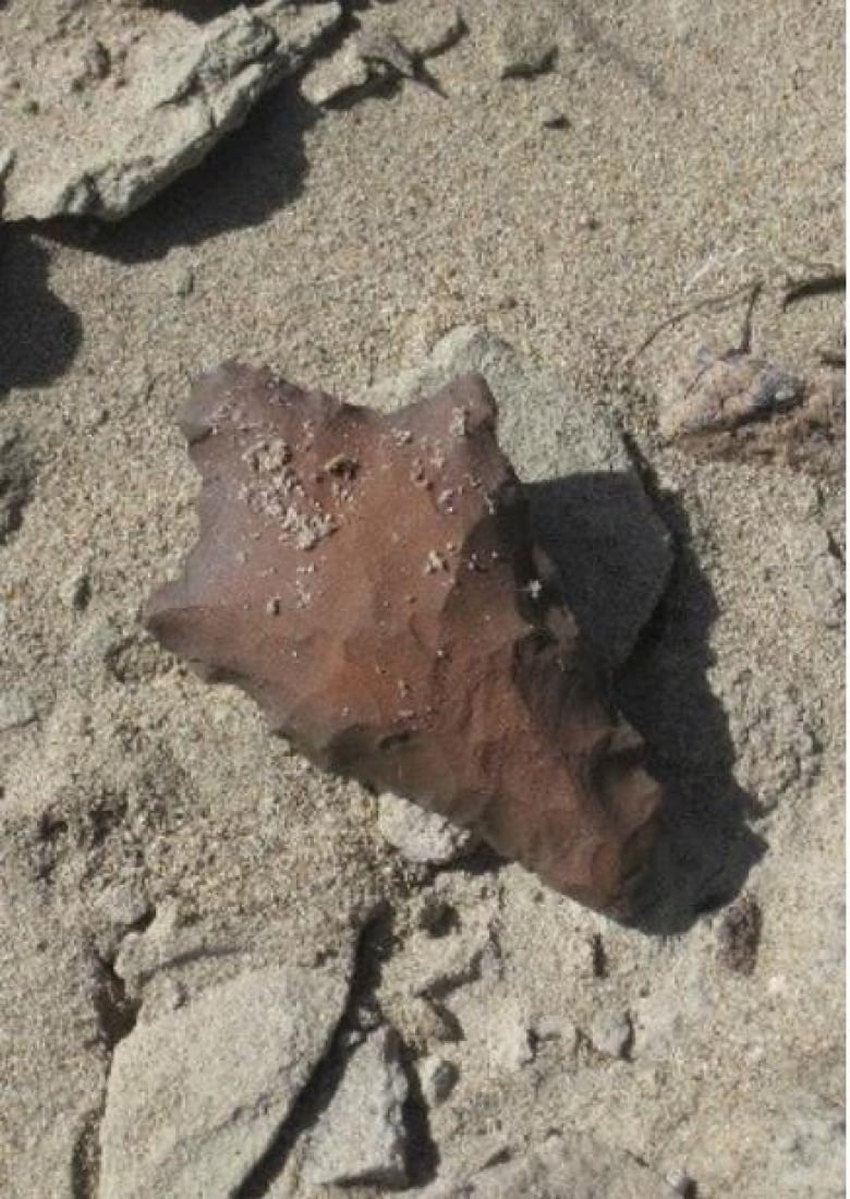 Archeologists struggle to repair vandals' damage to ancient petroglyphs in  Texas