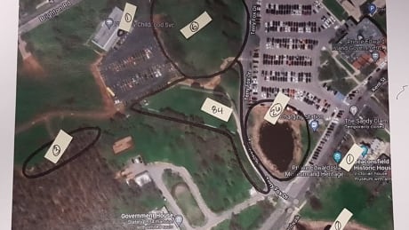 Victoria Park Dead Crows