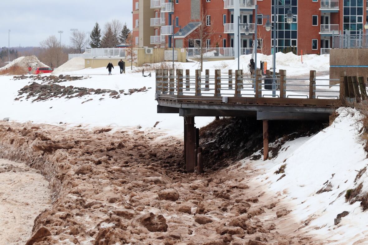Moncton to shore up Petitcodiac River bank as erosion puts trail at risk CBC News