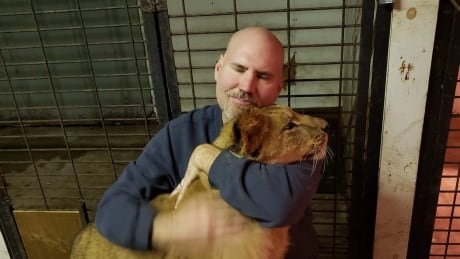 Mark Drysdale holds a lion in an undated photo posted to his Facebook page. Drysdale FB lion 2