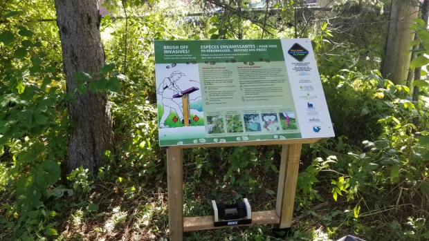 Hitting the trails this spring? Dust off your feet before you head home; The New Brunswick Invasive Species Council is installing boot brushes like this at several hiking trails in hopes of preventing the spread of invasive species\. 
