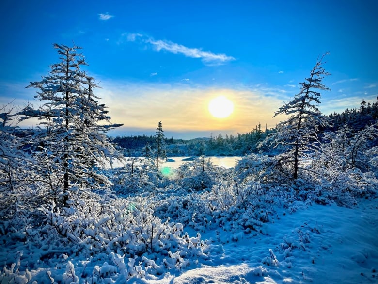 A tiny look at winter in this week&amp;#39;s photo gallery | CBC News