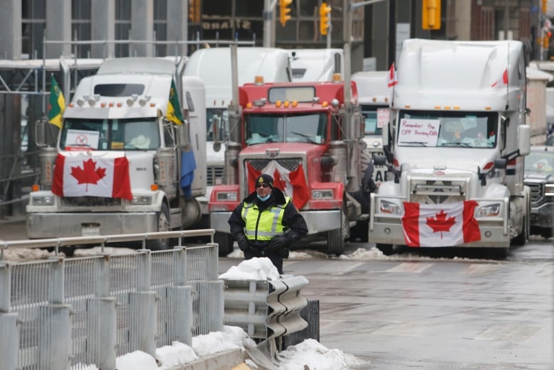 Trucker protesters, Canadian flag, police officer.