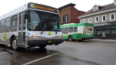 Government has pledged funding to make all bus transit routes, including rural transit and T3 Transit routes in Charlottetown, Stratford and Cornwall, free for anyone under the age of 18. Scenes from around Downtown Charlottetown