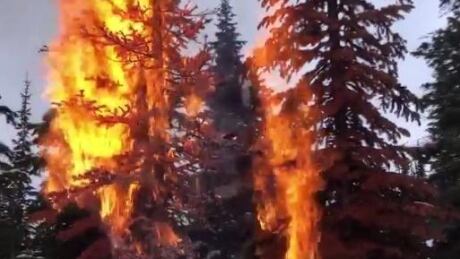 kootenay candle