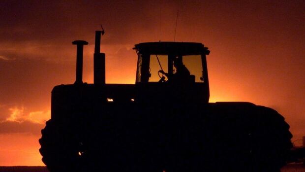 Trends show fewer farms, aging population of farmers in Sask.: StatsCan