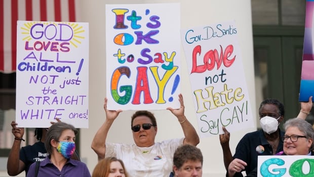 Florida legislature passes ‘Do not Say Homosexual’ invoice to limit LGBTQ subjects in elementary faculties
