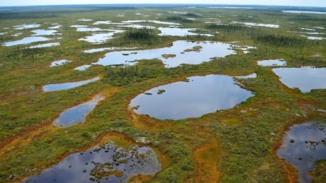 Peatlands in northern Ontario