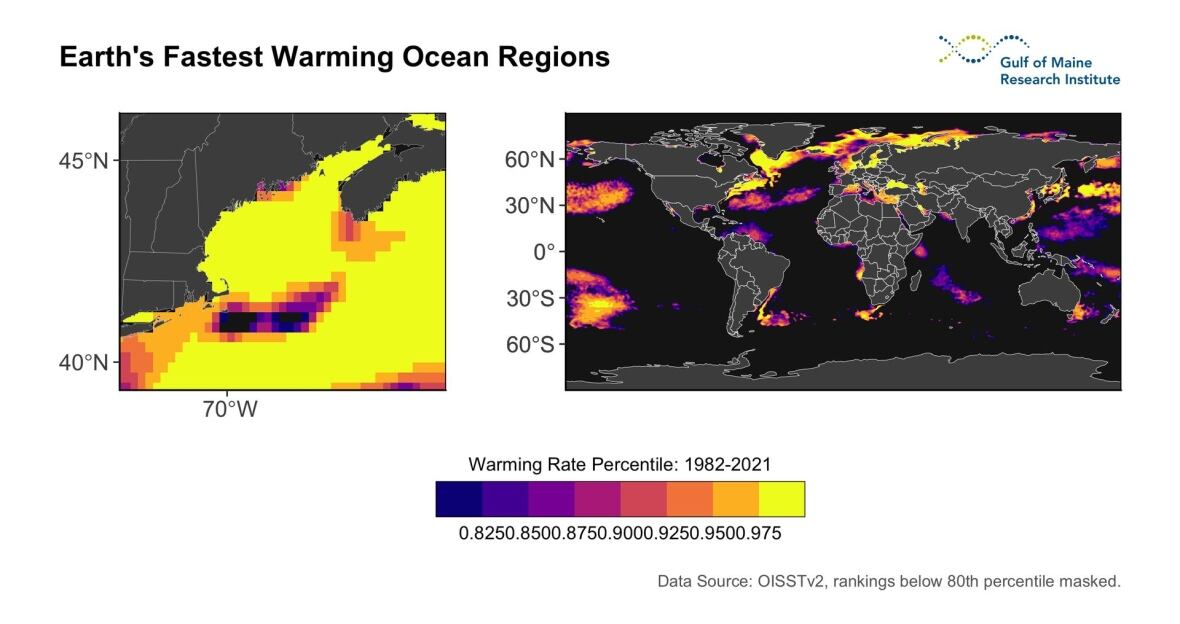 2021 was the warmest year on record in the Gulf of Maine CBC News