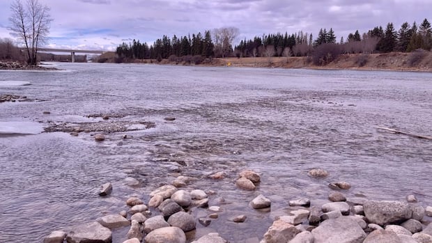 Calgary investigating wastewater leak in Bow River