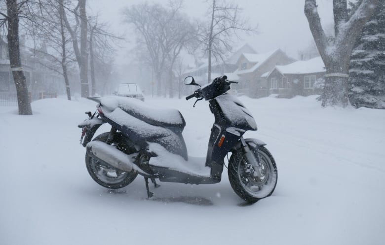 Peaceful snow in Winnipeg Manitoba Canada