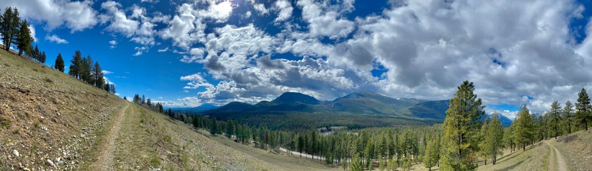 A landscape photo of small wooded mountains and blue sky. 