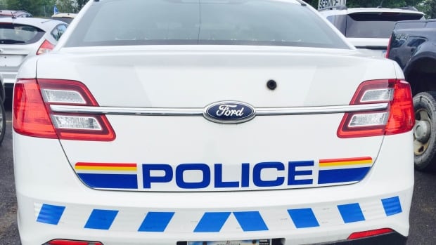 Man flees scene of rollover, dies in collision with transport truck, RCMP say