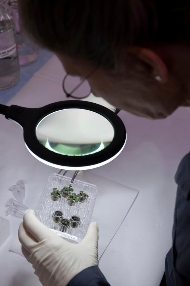 'Holy cow are you kidding me?' Scientists stunned to see plants