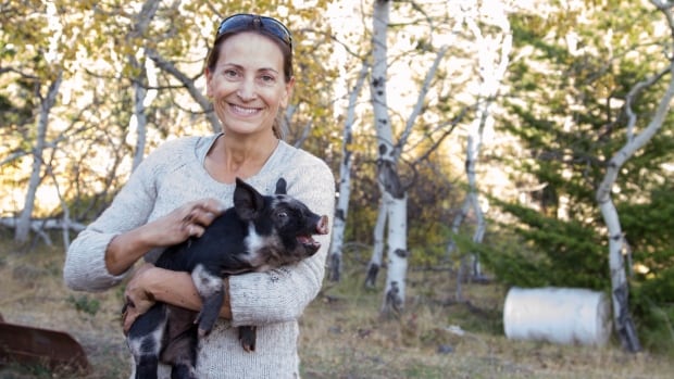 $1M grant to fund community abattoir in Merritt a 'ray of light,' say local ranchers - CBC.ca