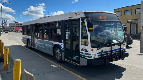 A Whitehorse city transit bus downtown. Whitehorse bus