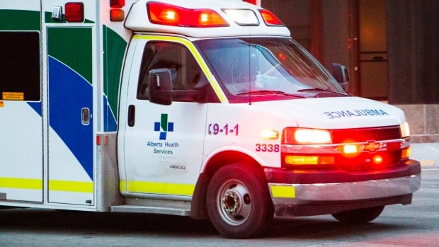 Edmonton paramedic sentenced after narcotics stolen from Alberta health authority | CBC News