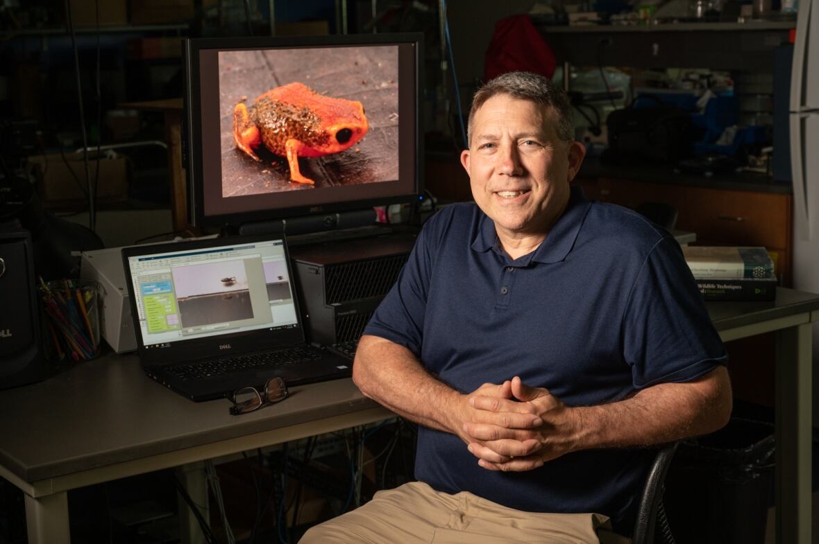 A man sits at a desk, but turned away from it, facing the camera. His hands are clasped in front of him and he's smiling. He's wearing a dark blue polo short and beige khakis. Behind him, on the desk, is a small laptop and a large computer monitor displaying an image of a bright orange frog. 