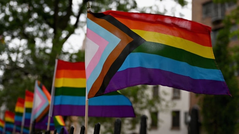 Transgender Flags  Canadian Transgender Flags