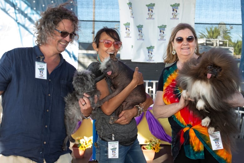 Three people in sunglasses stand side by side holding small, wrinkly dogs. 