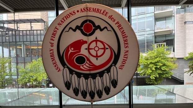 Chiefs want work to get done at Assembly of First Nations general assembly despite leader's suspension