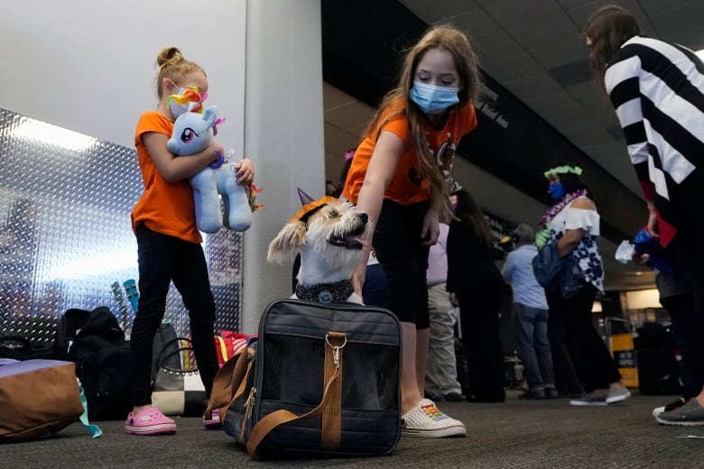 Air canada shop pet transport