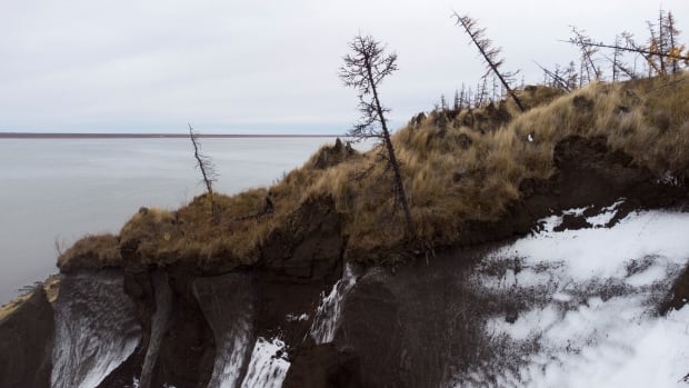 Russia’s war in Ukraine is putting critical Arctic research on ice | CBC Radio