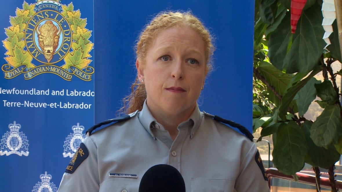 Port aux Basques woman was swept to sea while preparing to leave her