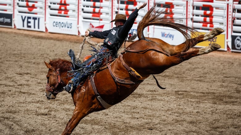 Zeke Thurston, of Big Valley, Alta., rides during saddle bronc rodeo action at the Calgary Stampede in Calgary, Alta., Friday, July 8, 2022.