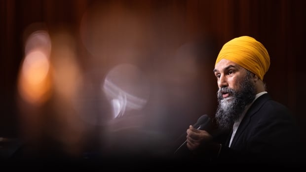 NDP Leader Jagmeet Singh to visit N.W.T. for 1st time
