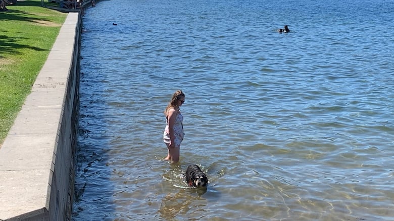 A woman and a black dog, with the pup paddling in knee-length water.