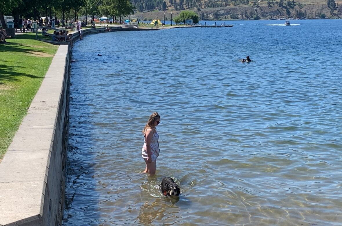 A woman and a black dog, with the pup paddling in knee-length water.